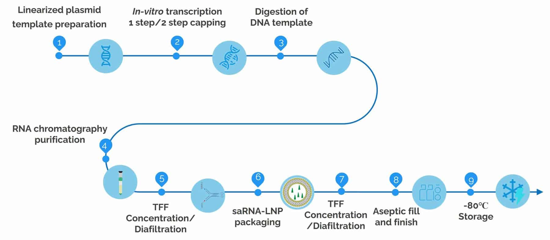 uBrigene's custom mRNA synthesis and LNP formulation service workflow.