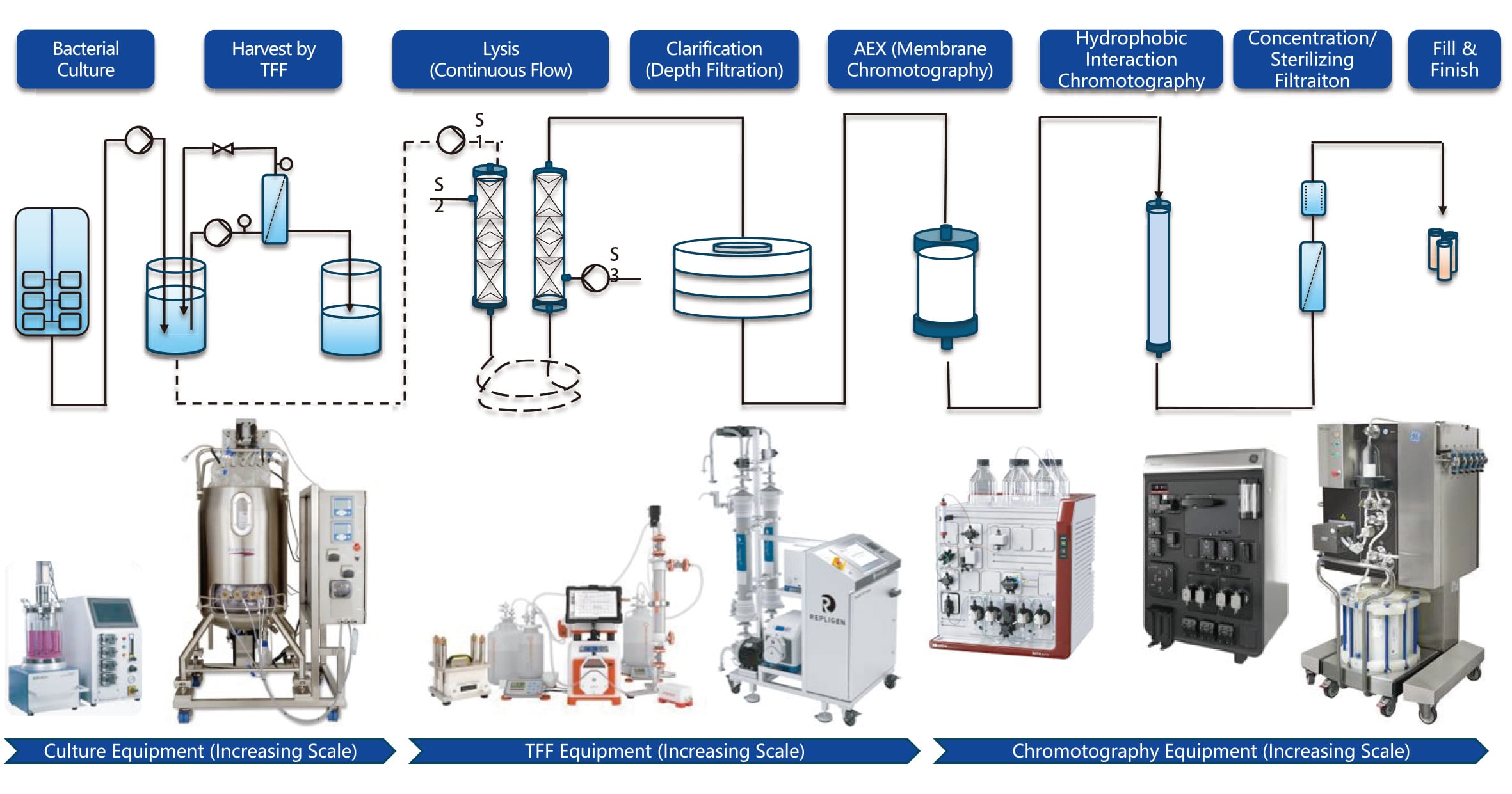 uBrigene's GMP plasmid DNA manufacturing workflow diagram.