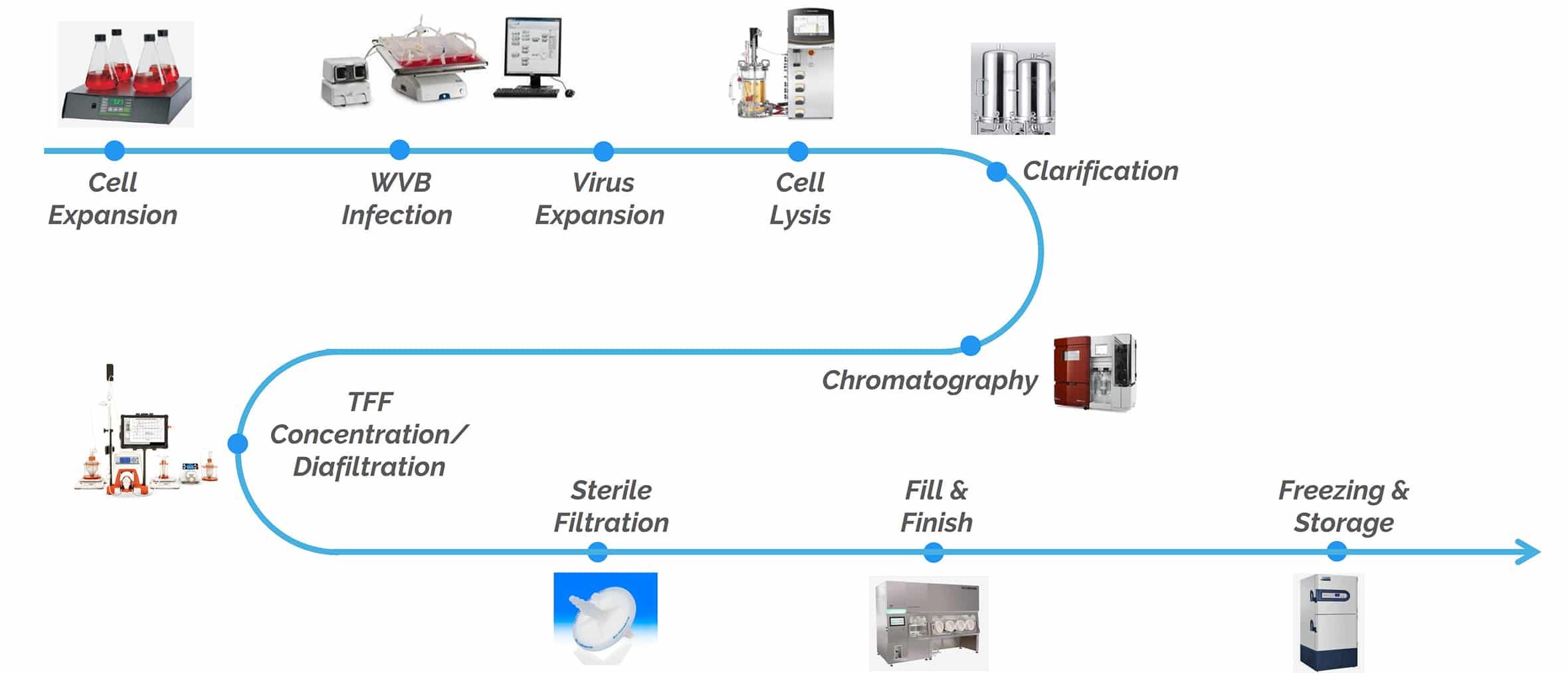 uBriGene's adenovirus production workflow.