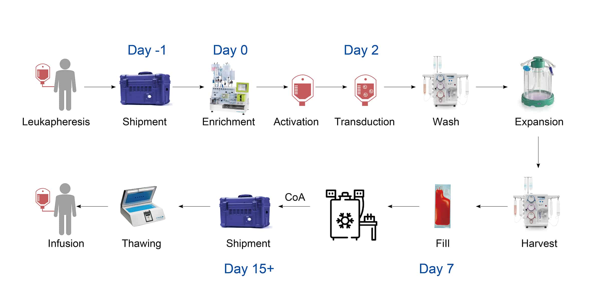 uBriGene CAR-NK & CAR-T CDMO platform workflow.