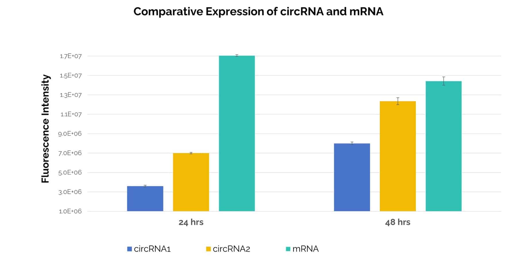 Bar graph quantifying the comparable mRNA and circRNA expression.