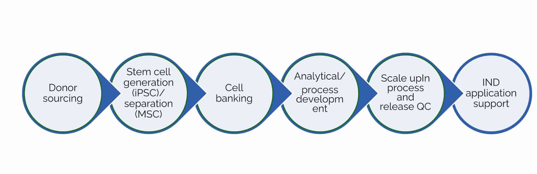 Diagram of the breadth of GMP iPSC & MSC manufacturing services at uBriGene.