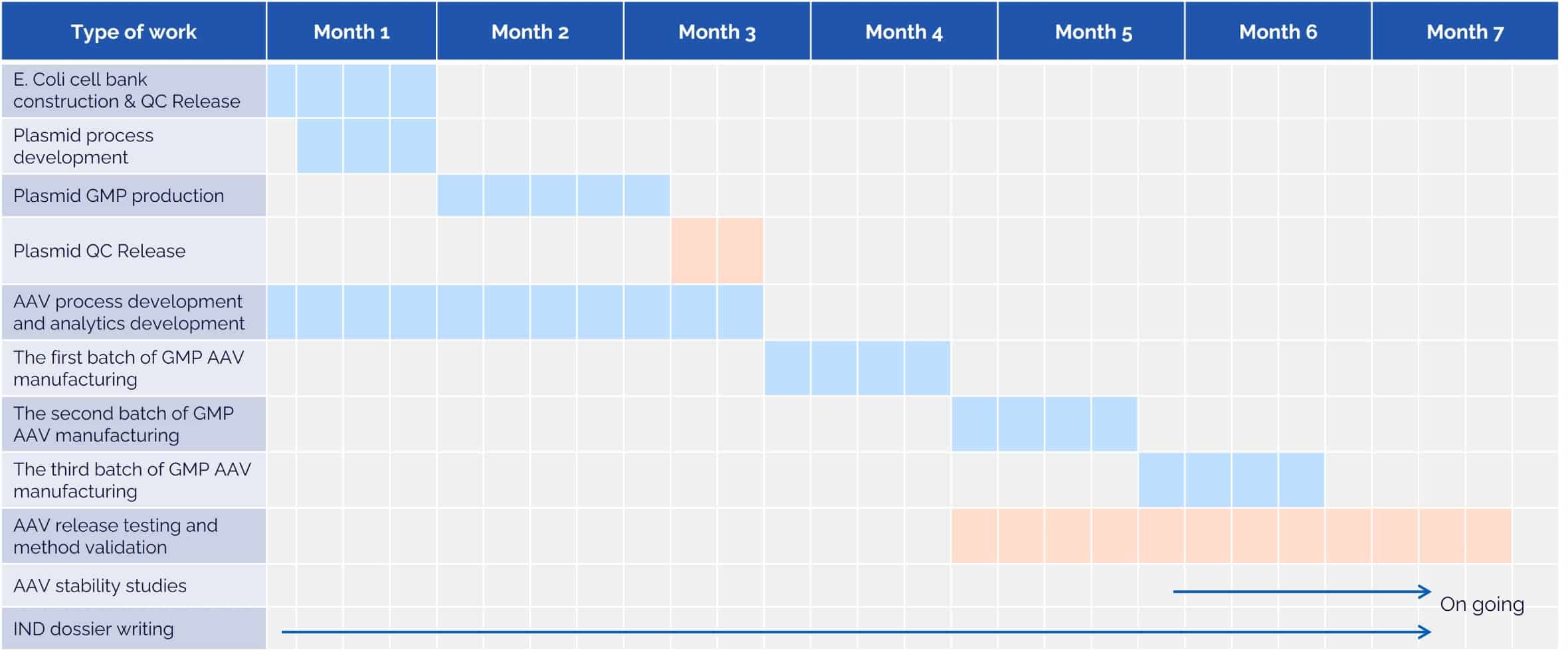 Seven-month timeline for GMP AAV therapeutics projects.