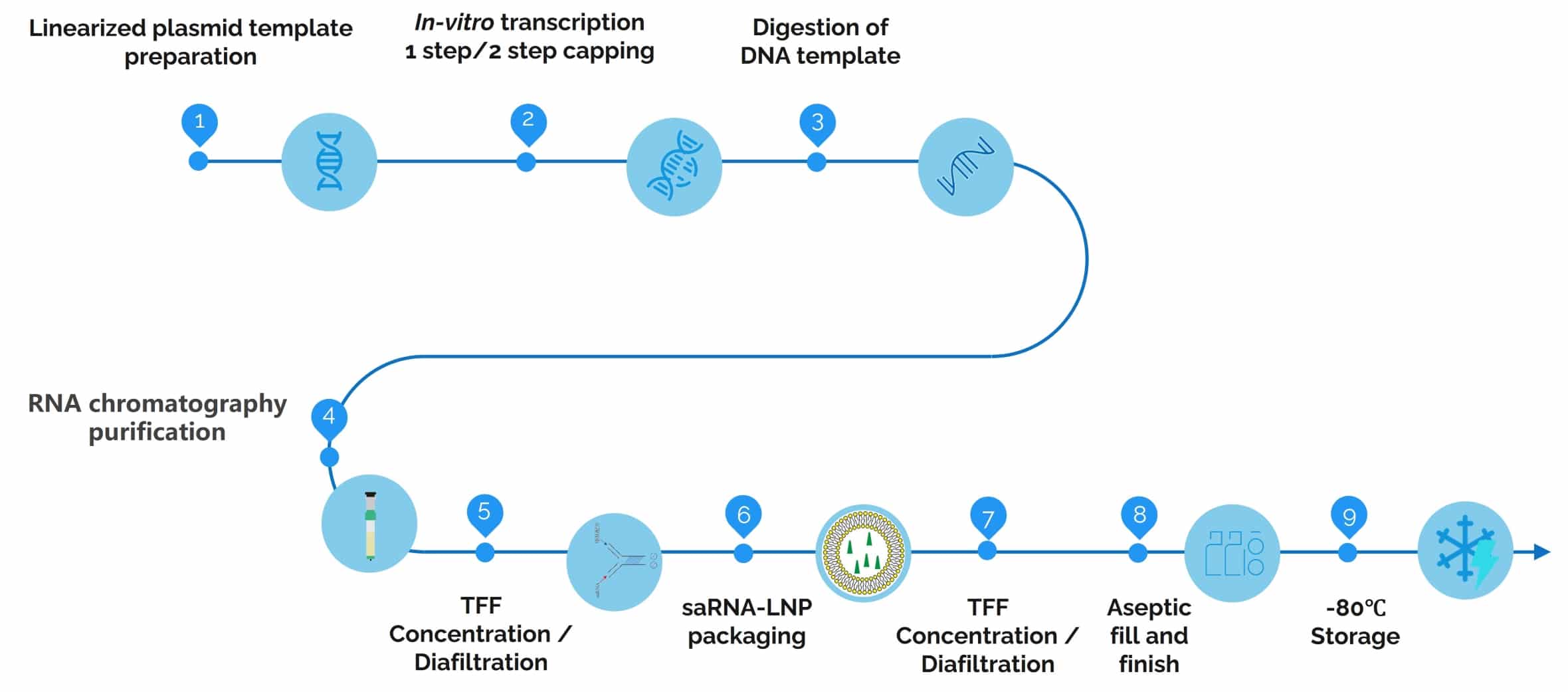 ubriGene's saRNA-LNP production service workflow.