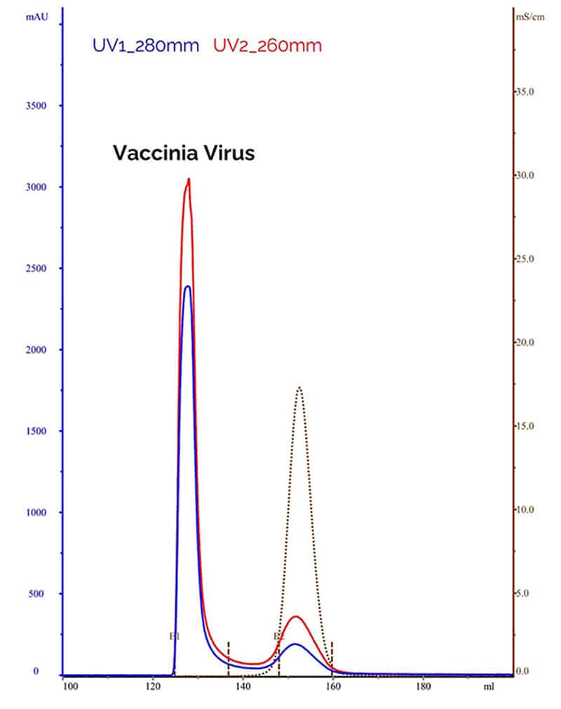 Chromatographic purification plot depicting the high-quality vaccinia produced.