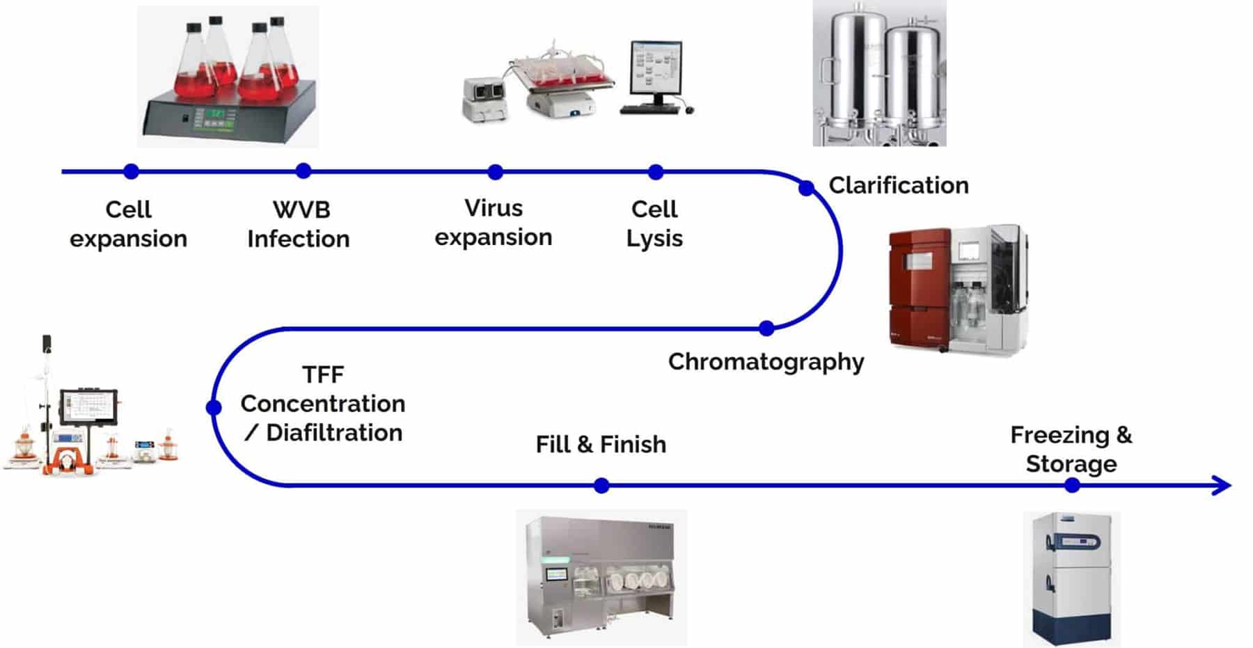 ubriGene's oncolytic virus CDMO workflow.