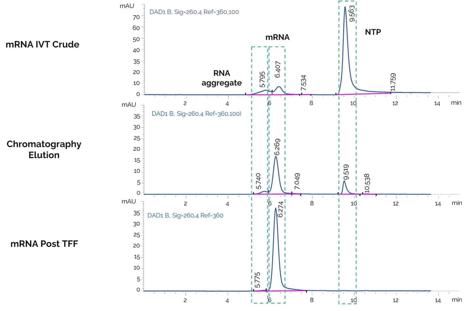 SEC HPLC analysis of mRNA after in vitro transcription.