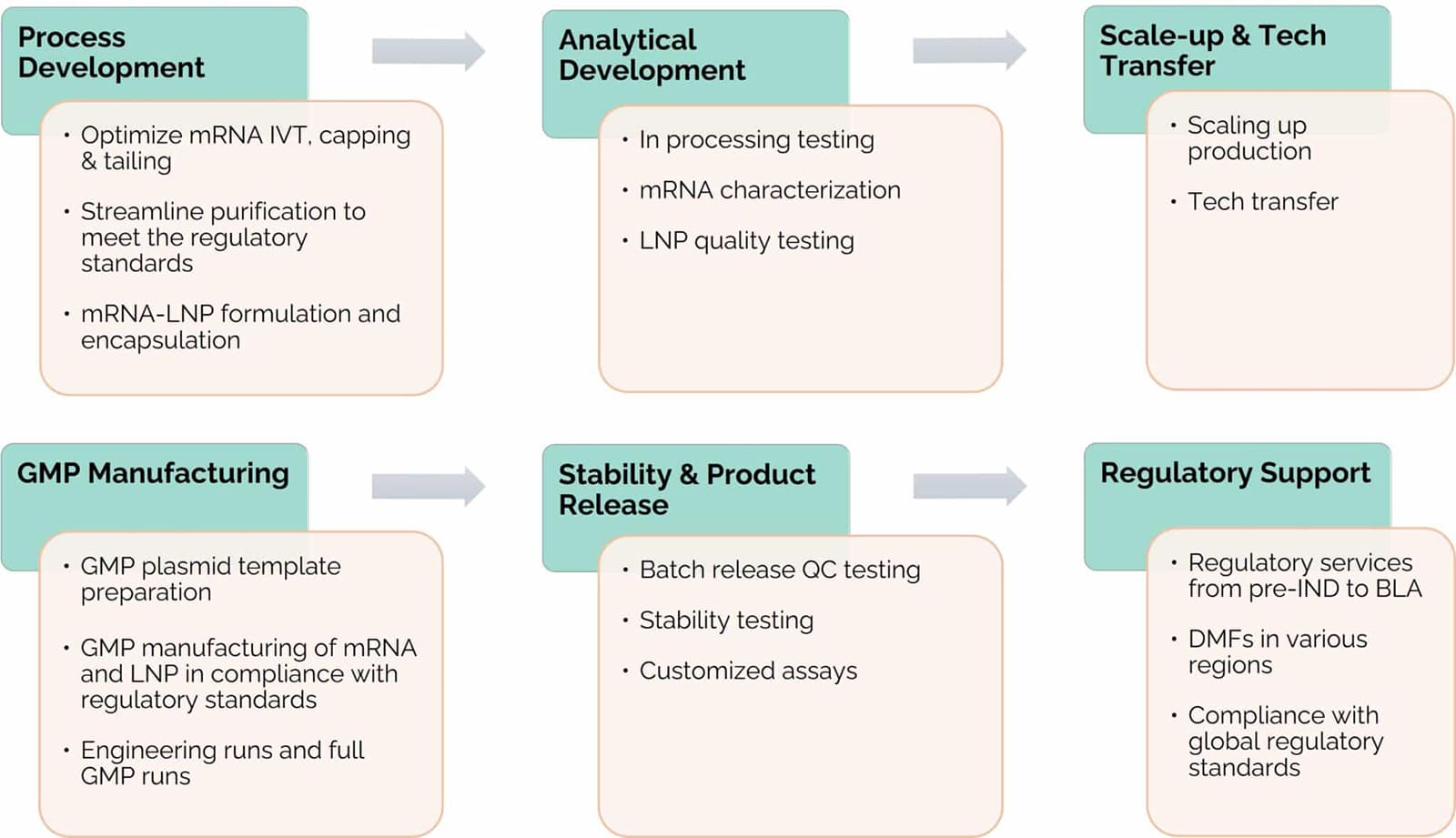 GMP mRNA-LNP manufacturing services outline.