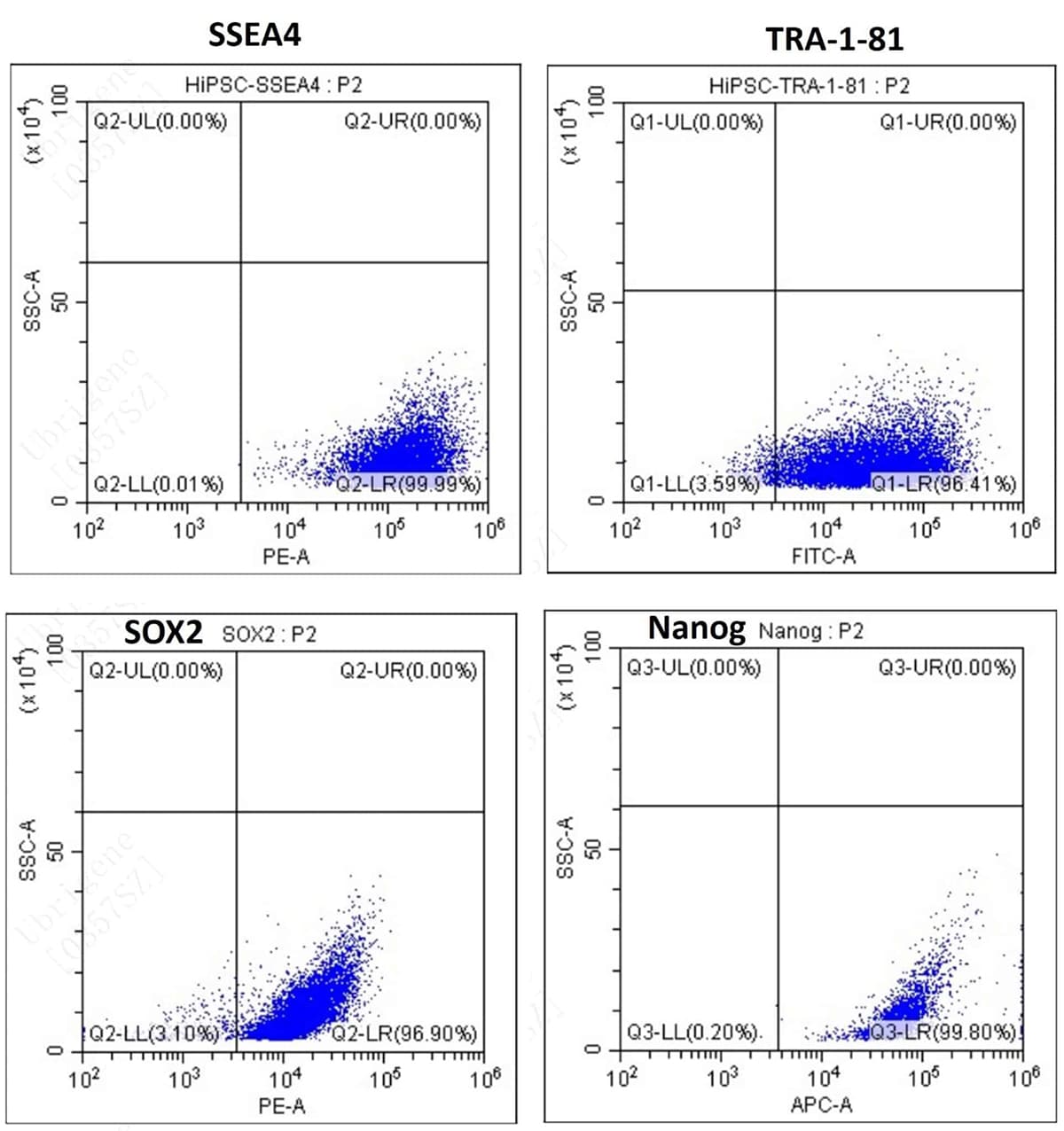 Flow cytometry detection of pluripotency identification markers for uBriGene’s iPSC cell bank.