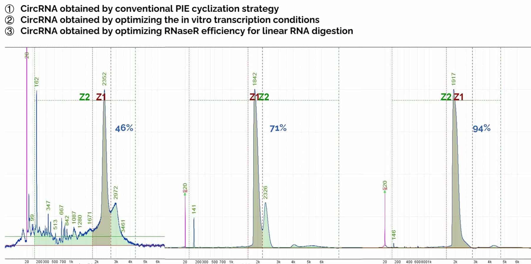 A graph showing the purity of circRNA up to 94%.